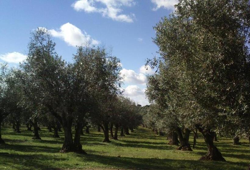 بنسيون Alandroal Guest House,