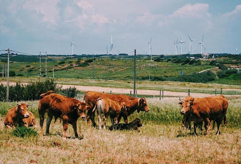 פנסיון Aloha Burgau Guesthouse