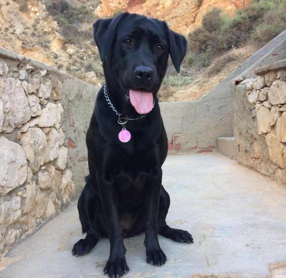 פנסיון Aloha Burgau Guesthouse