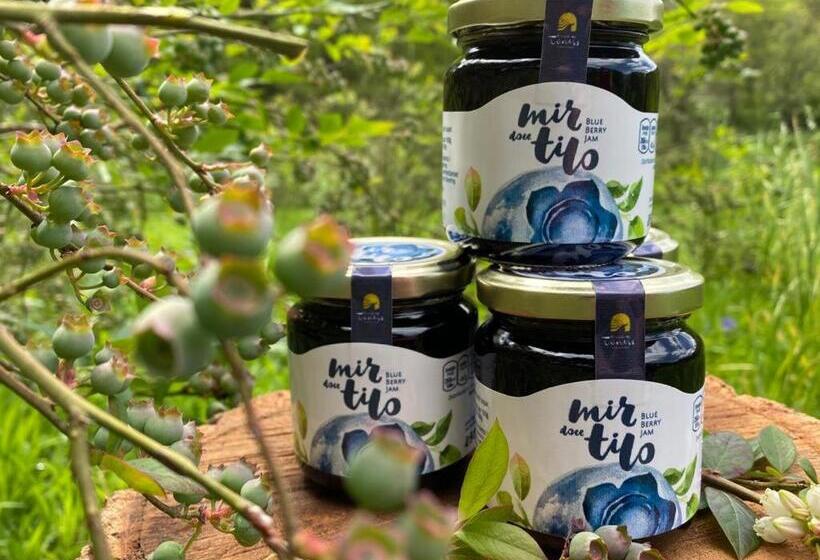 펜션 Encosta Dos Túneis   Turismo E Lazer