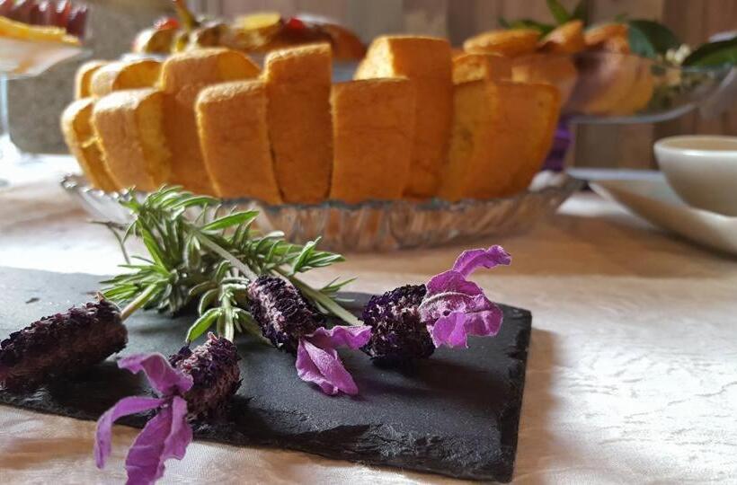 펜션 Encosta Dos Túneis   Turismo E Lazer