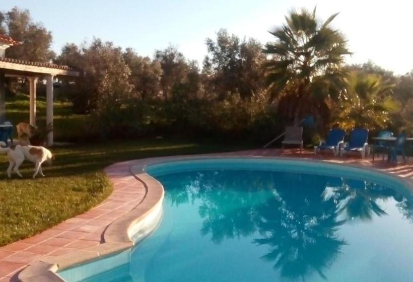 ペンション Monte Das Beatas Alojamento Local