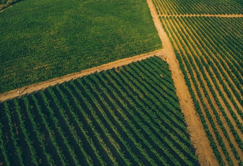 ペンション Pátio Da Figueira
