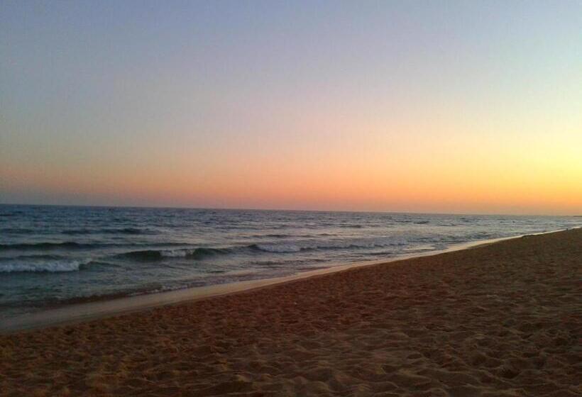 Пансион Roulito S Guest House