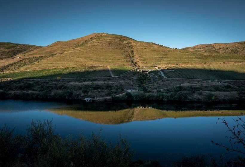 Casa Do Rio   Douro Wine Hotel By Vallado