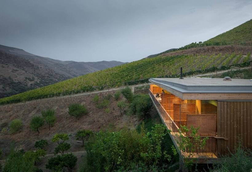 Casa Do Rio   Douro Wine Hotel By Vallado