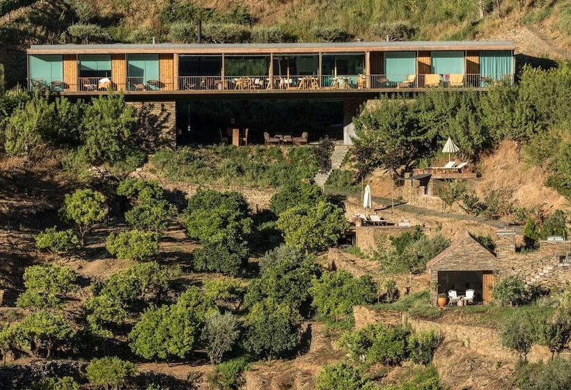 Casa Do Rio   Douro Wine Hotel By Vallado