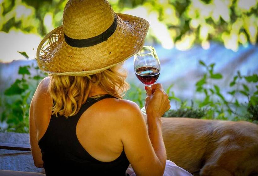 Casa Do Rio   Douro Wine Hotel By Vallado