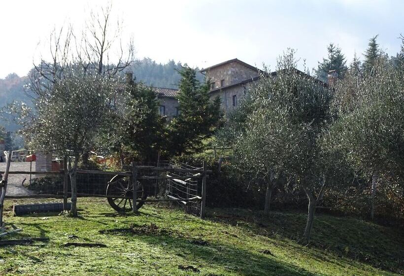 호텔 Agriturismo Olivastrella