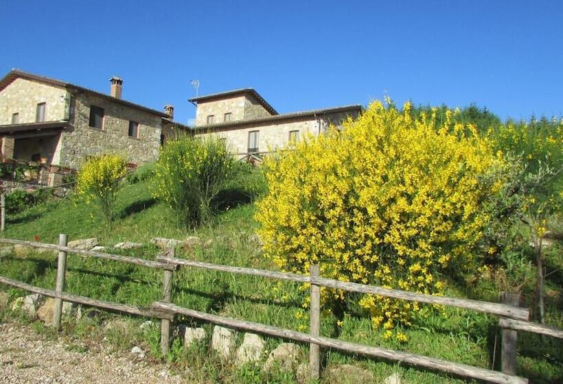 호텔 Agriturismo Olivastrella