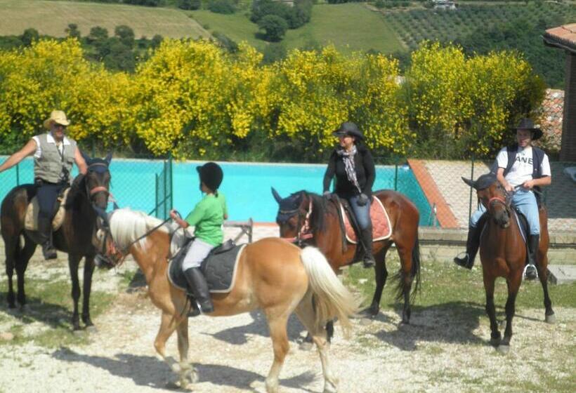 호텔 Agriturismo Olivastrella