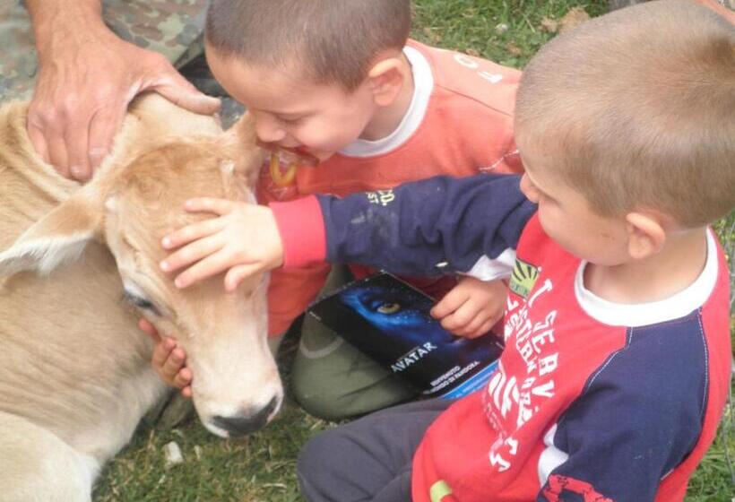 호텔 Agriturismo Olivastrella