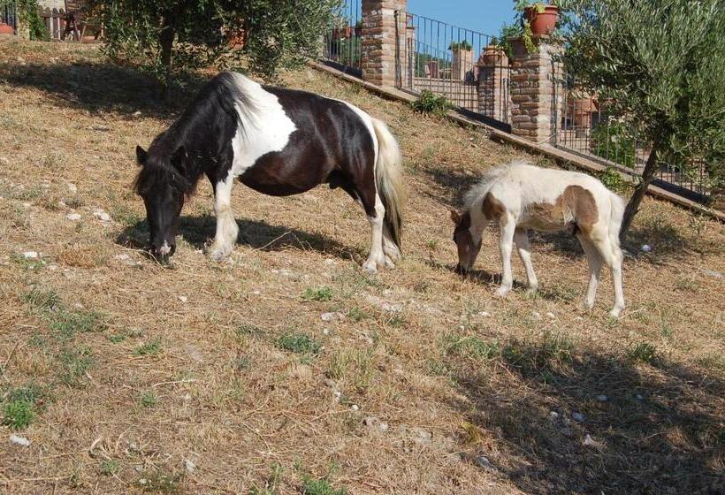 호텔 Agriturismo Olivastrella