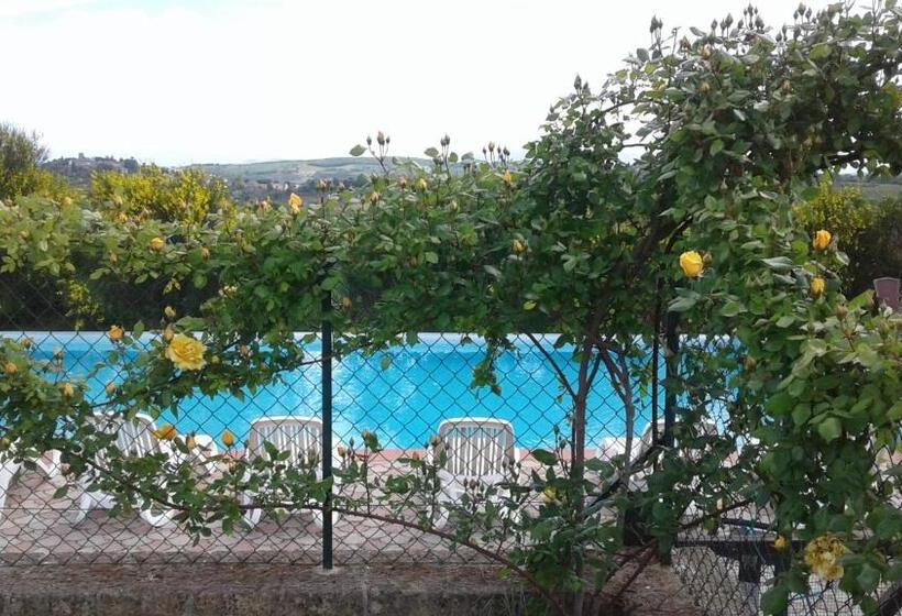 호텔 Agriturismo Olivastrella