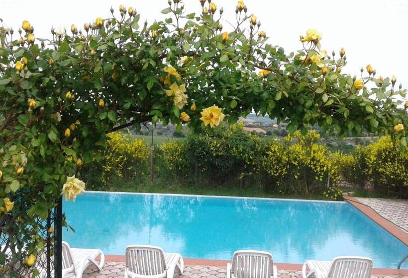 호텔 Agriturismo Olivastrella