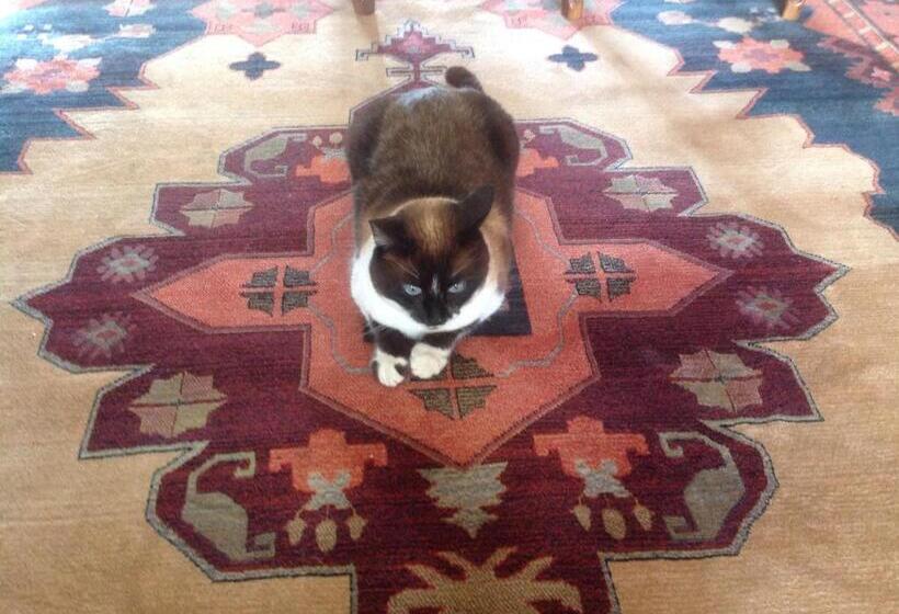 בית מלון כפרי Casa Da Ponte Do Porto