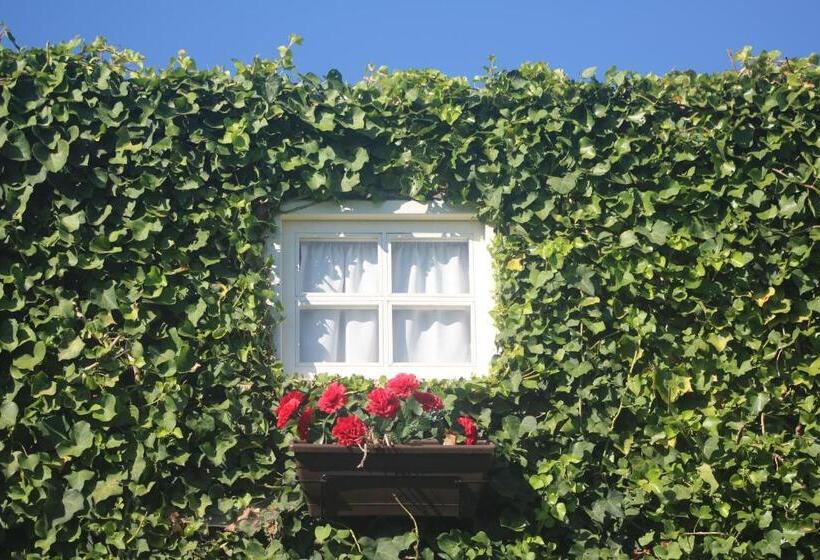 Отель Casa Do Moinho