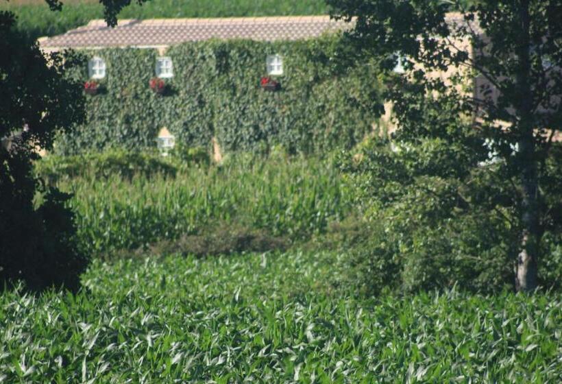 Отель Casa Do Moinho