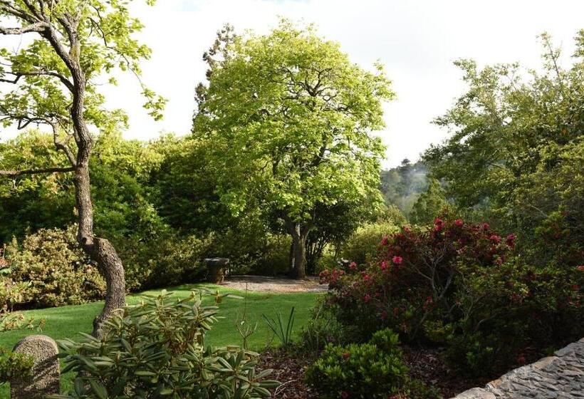 酒店 Casas De Pedra