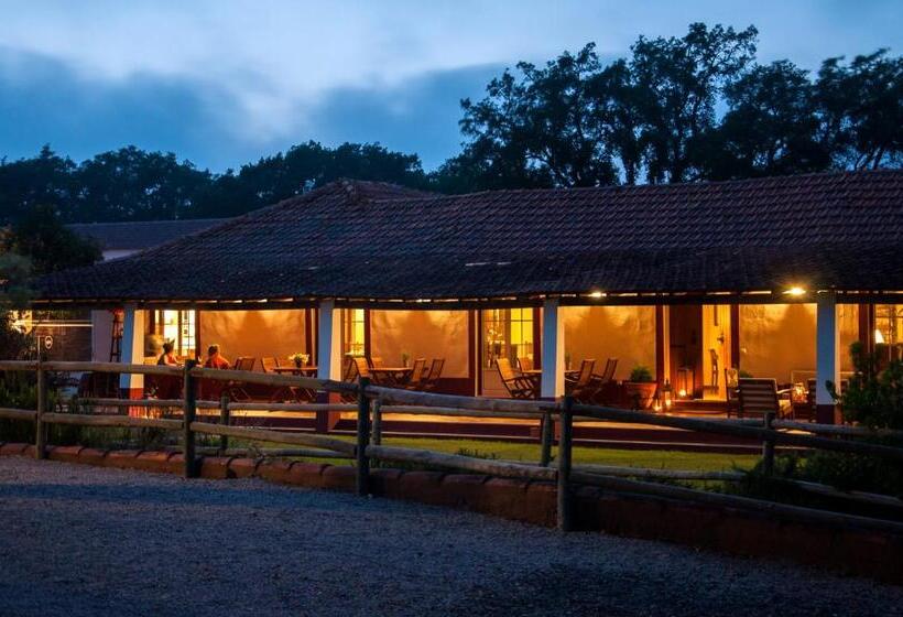 호텔 Herdade Das Barradas Da Serra