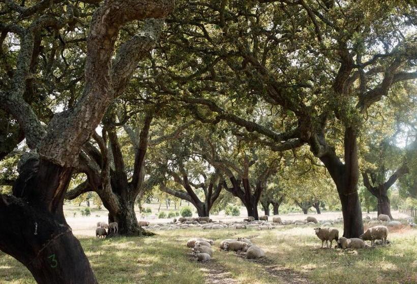 호텔 Herdade Das Barradas Da Serra