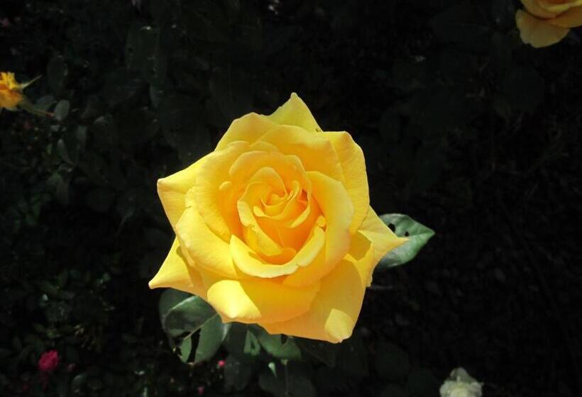 酒店 Horta Da Vila