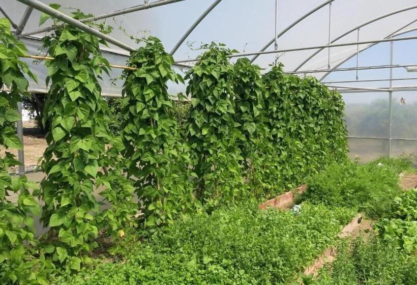 酒店 Horta Da Vila