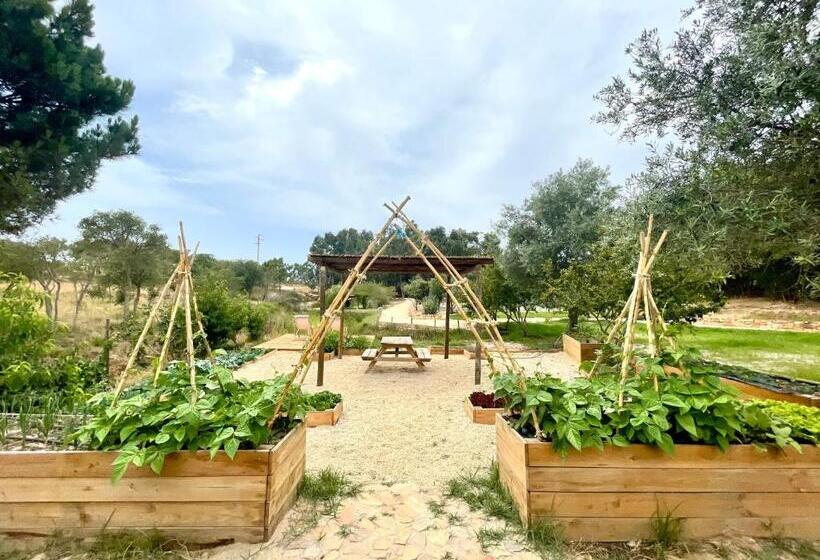 فندق Monte Joao Roupeiro   Turismo Rural