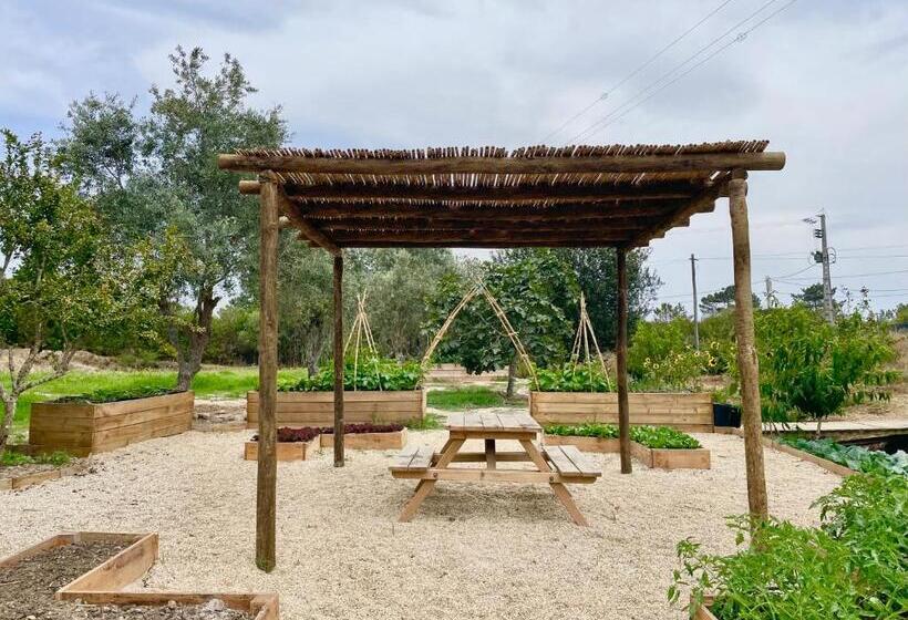 فندق Monte Joao Roupeiro   Turismo Rural