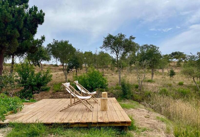 فندق Monte Joao Roupeiro   Turismo Rural