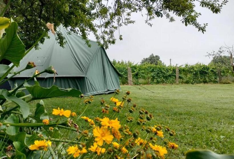 Отель Quinta Da Teimosa