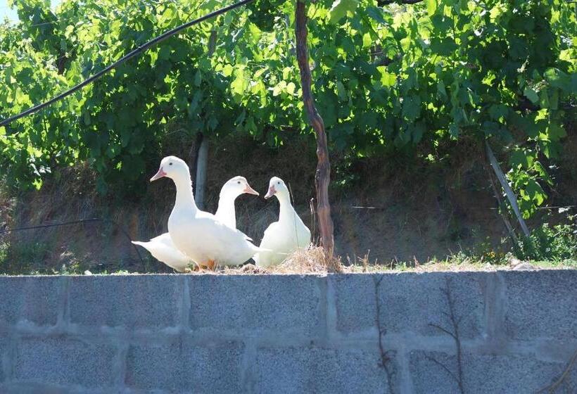 בית מלון כפרי Quinta Do Alto