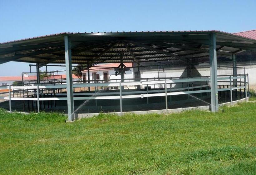 فندق Setequintas