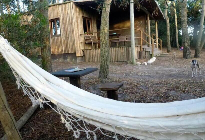 فندق Setequintas