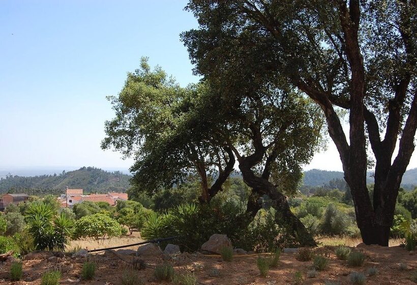 فندق Vinha Do Gaio