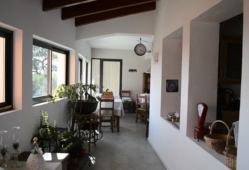 فندق Vinha Do Gaio