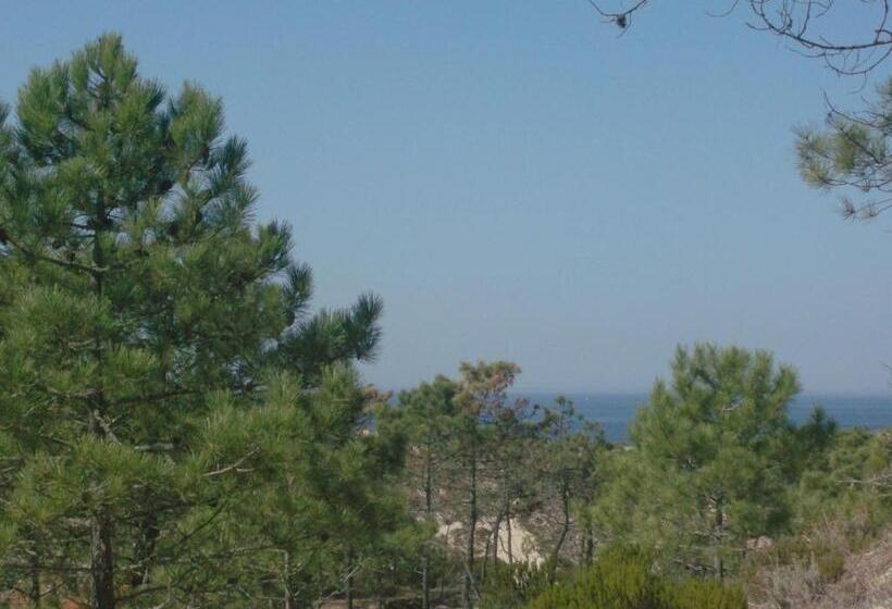 بنسيون Alojamento Local Verde E Mar