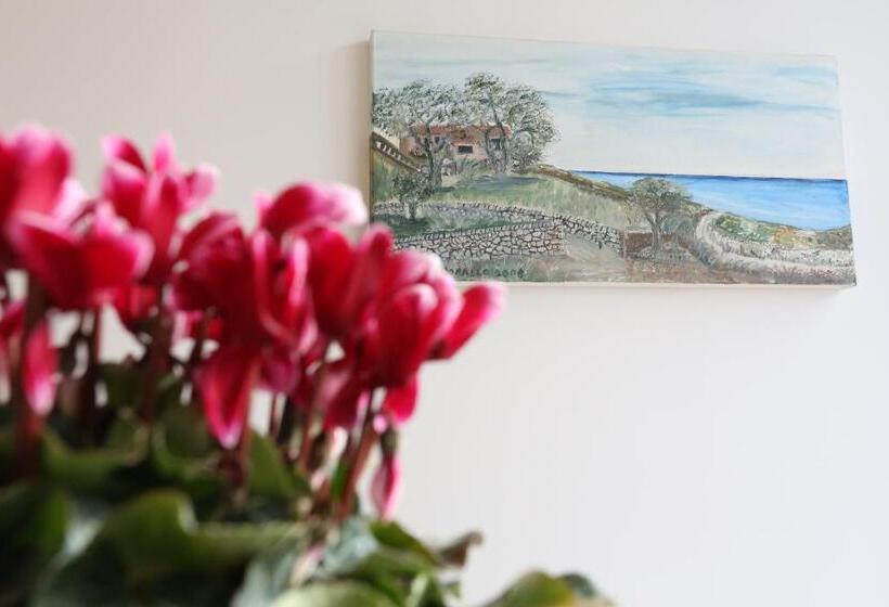 پانسیون Aurienzia