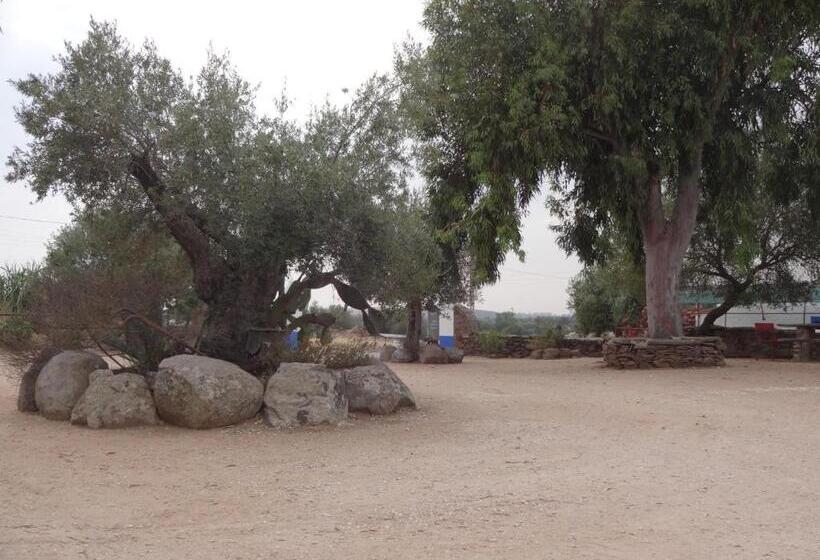 پانسیون Casa Saramago