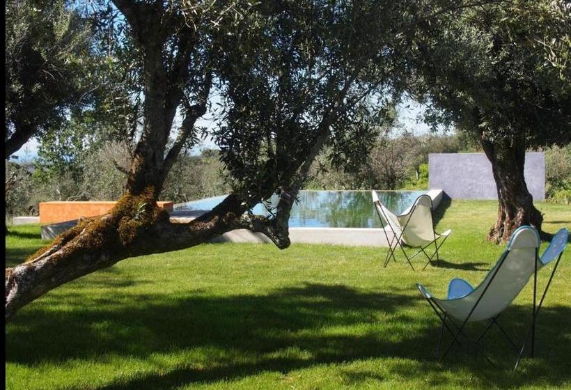 膳宿费 Convento Senhora Da Vitoria   Budget