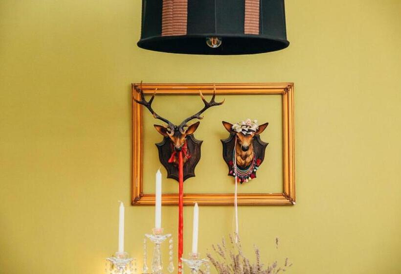 بنسيون Dona Fina Guest House