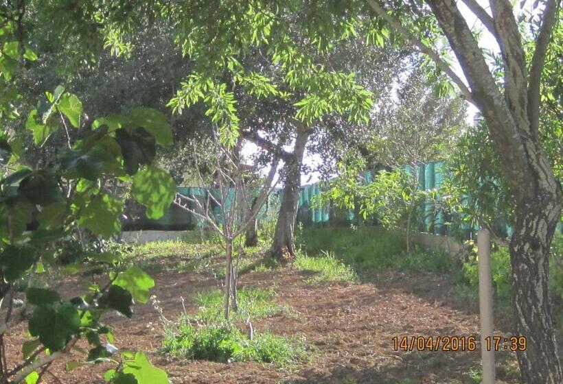 بنسيون Quinta Da Fonte Em Moncarapacho
