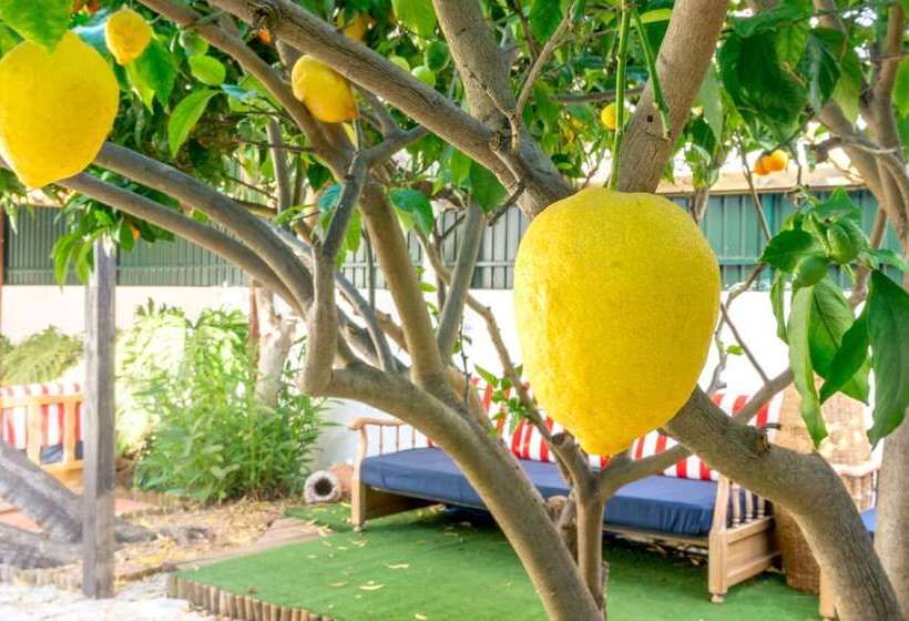 Пансион Roaz De Bandeira Guesthouse