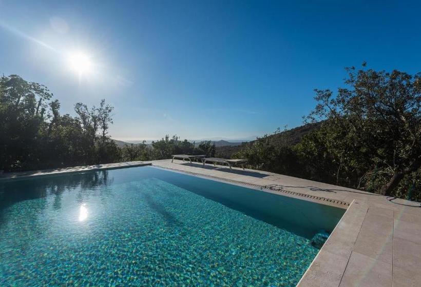 ペンション Villa Margherita Wellness & Golf Your Private Punta Ala