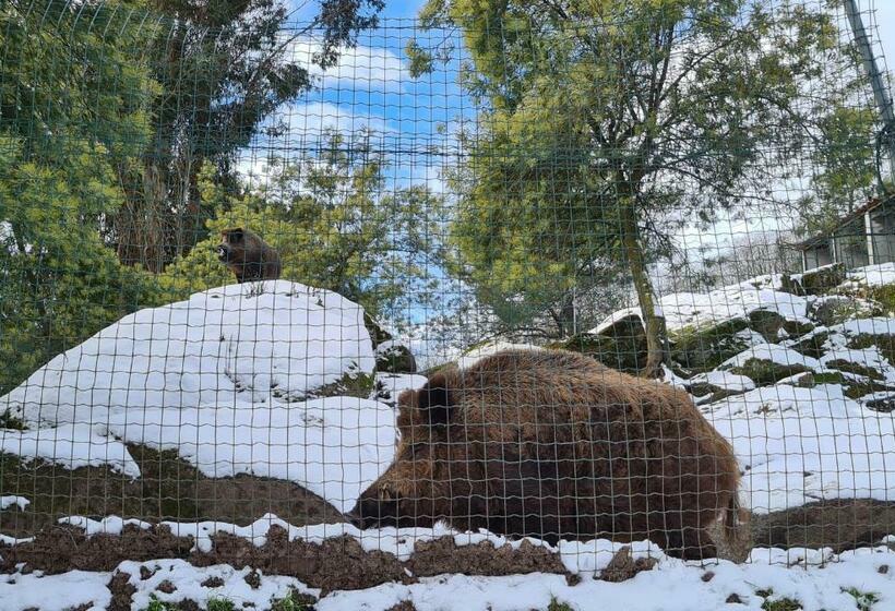 Quinta De Santo Estêvão Hotel Rural