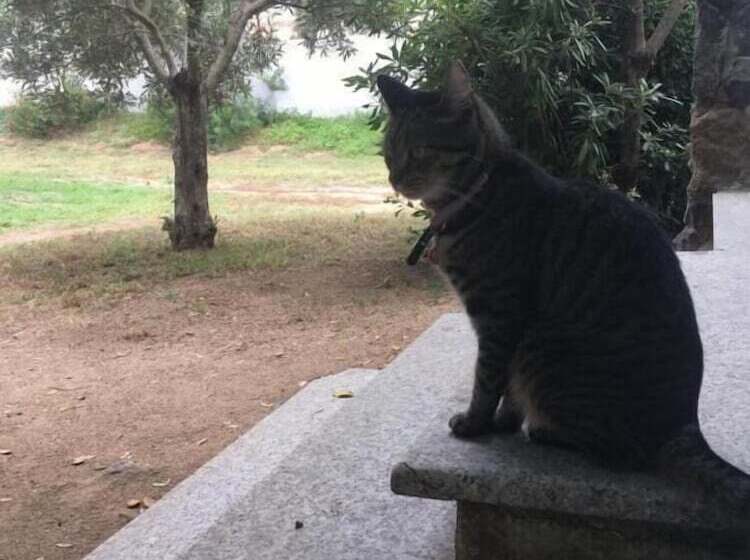 Residence Cort'e Accas