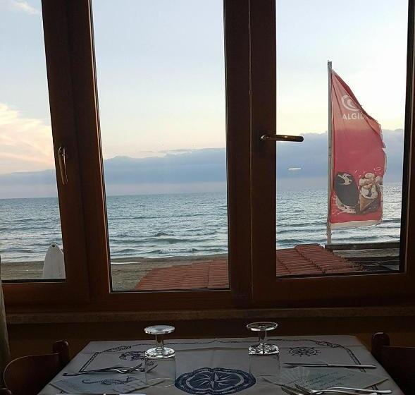 هاستل La Veranda