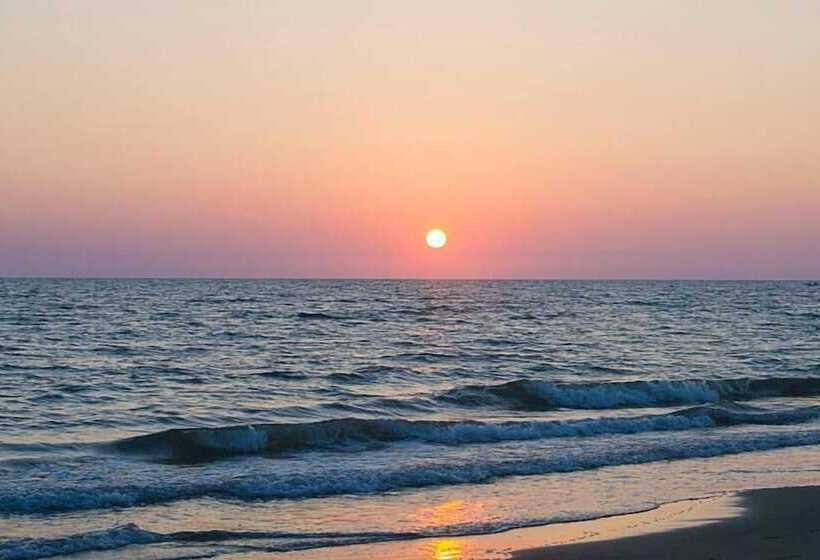 هاستل La Veranda