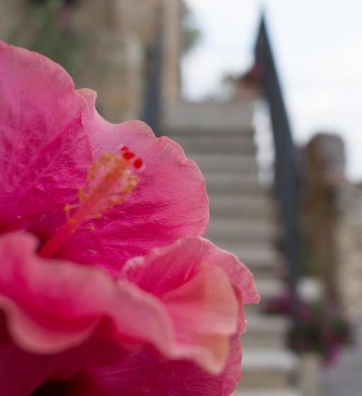 Bed and Breakfast Charme In Perillis