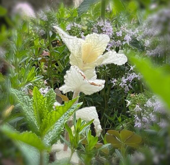 Boutique Hotel St Georgen